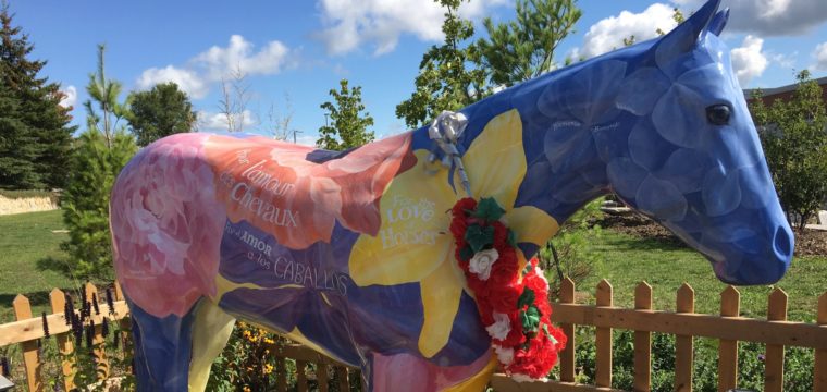 1 – After the Plans and Before the Journey