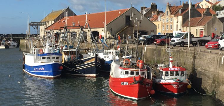 5 – Pittenweem, Crail, and onto the Home of Golf
